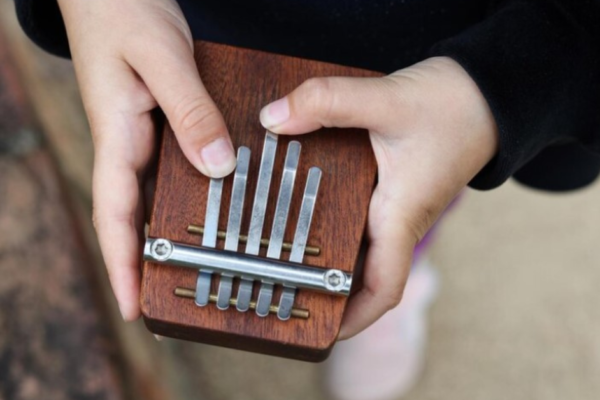 Stagg 21 Kalimba with tuning software displayed on a Mac screen